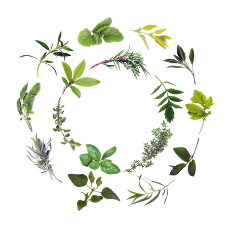 Various fresh herbs arranged in a circular pattern on a light background, including basil, rosemary, thyme, sage, and mint.